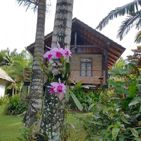 Cabana Linda Sitio Aracua Picarras Exterior photo